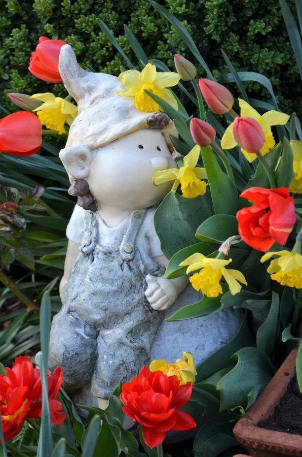 Zimmervermietung Groeberhof Schenna Luaran gambar